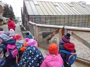 Vánoční výlet - Ekocentrum Mladá Boleslav